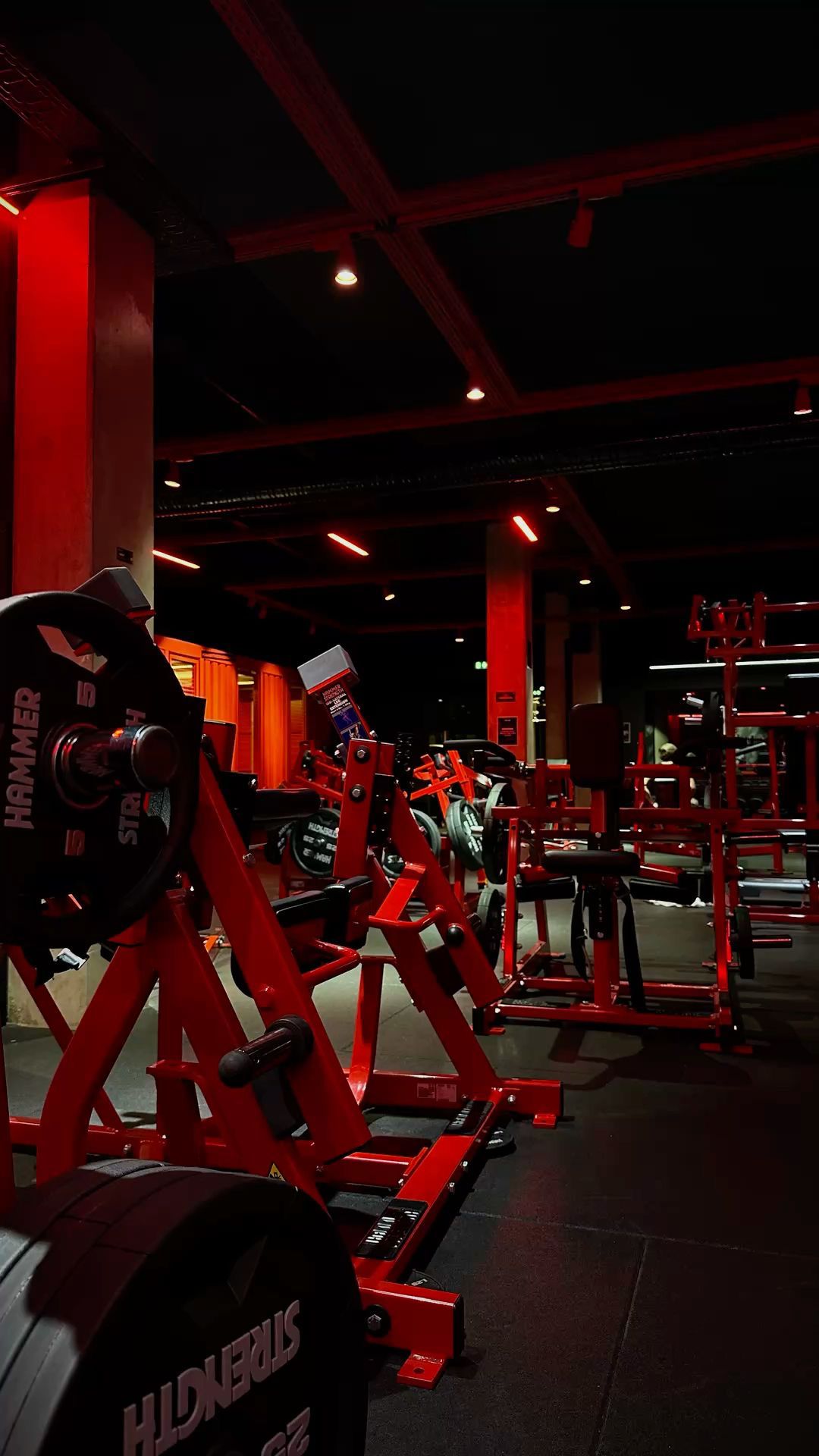 Vrouwen training bij DiLadyBody