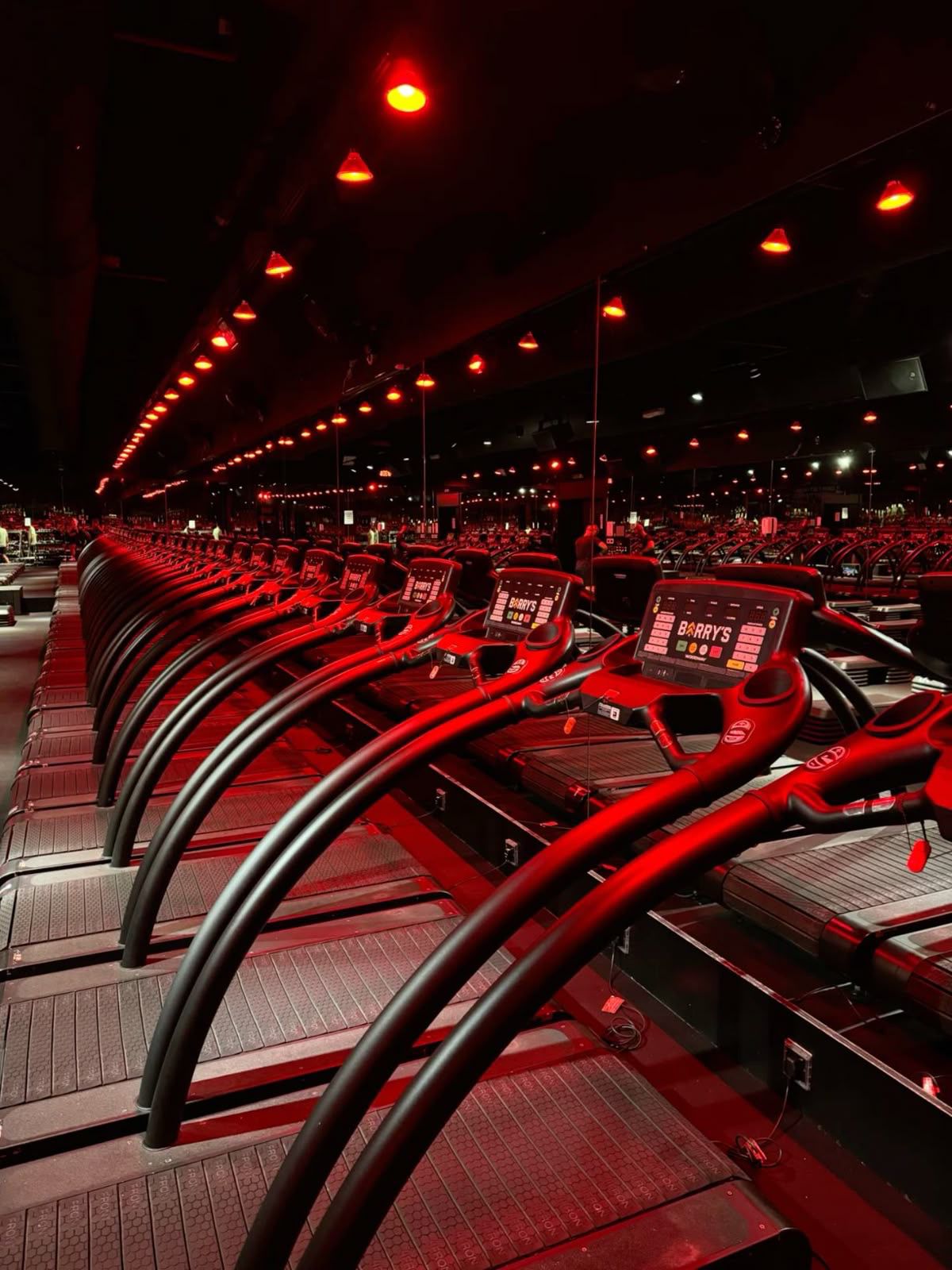 DiLadyBody training